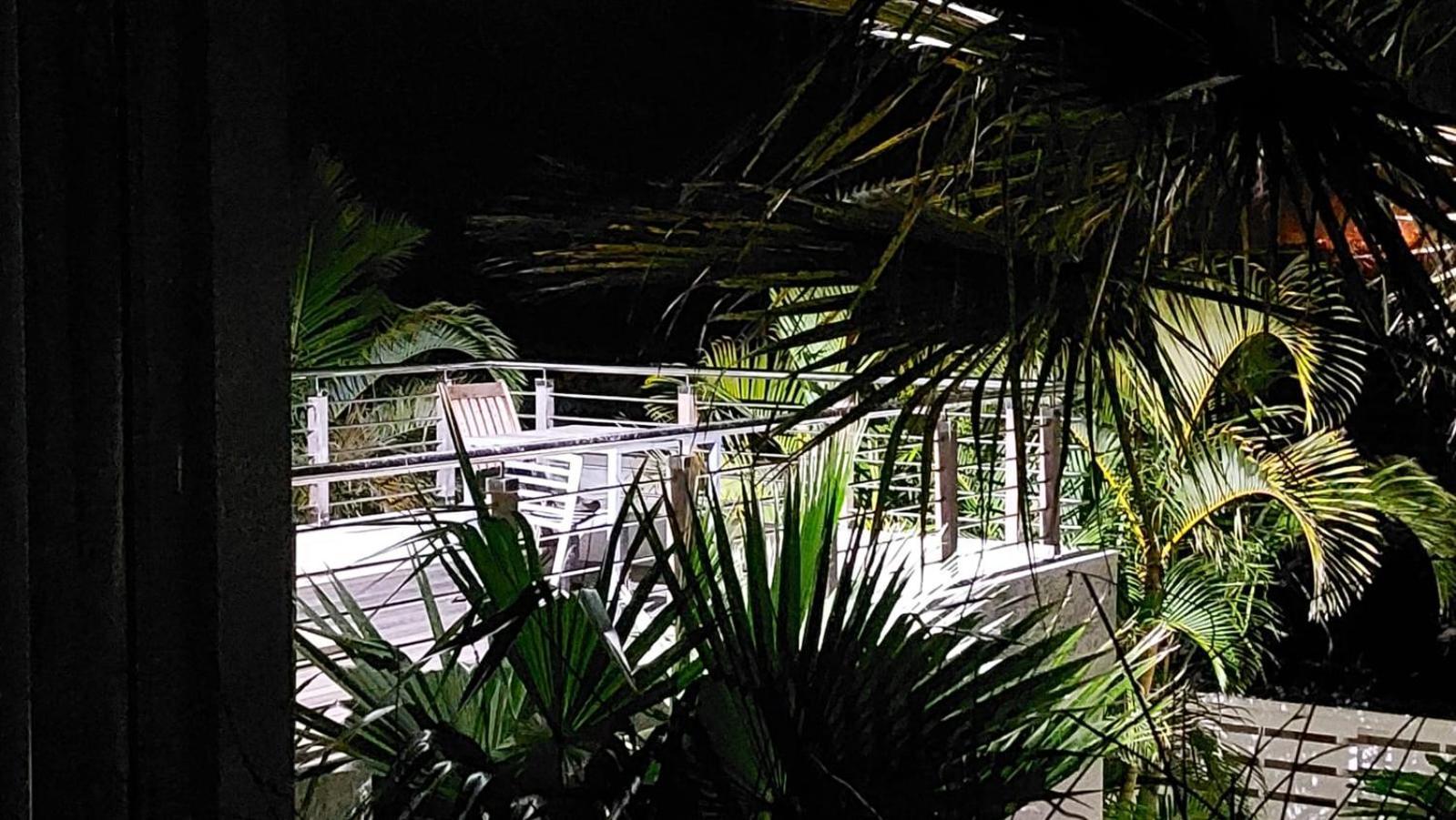 The Terrace Bed and Breakfast East London Exteriör bild